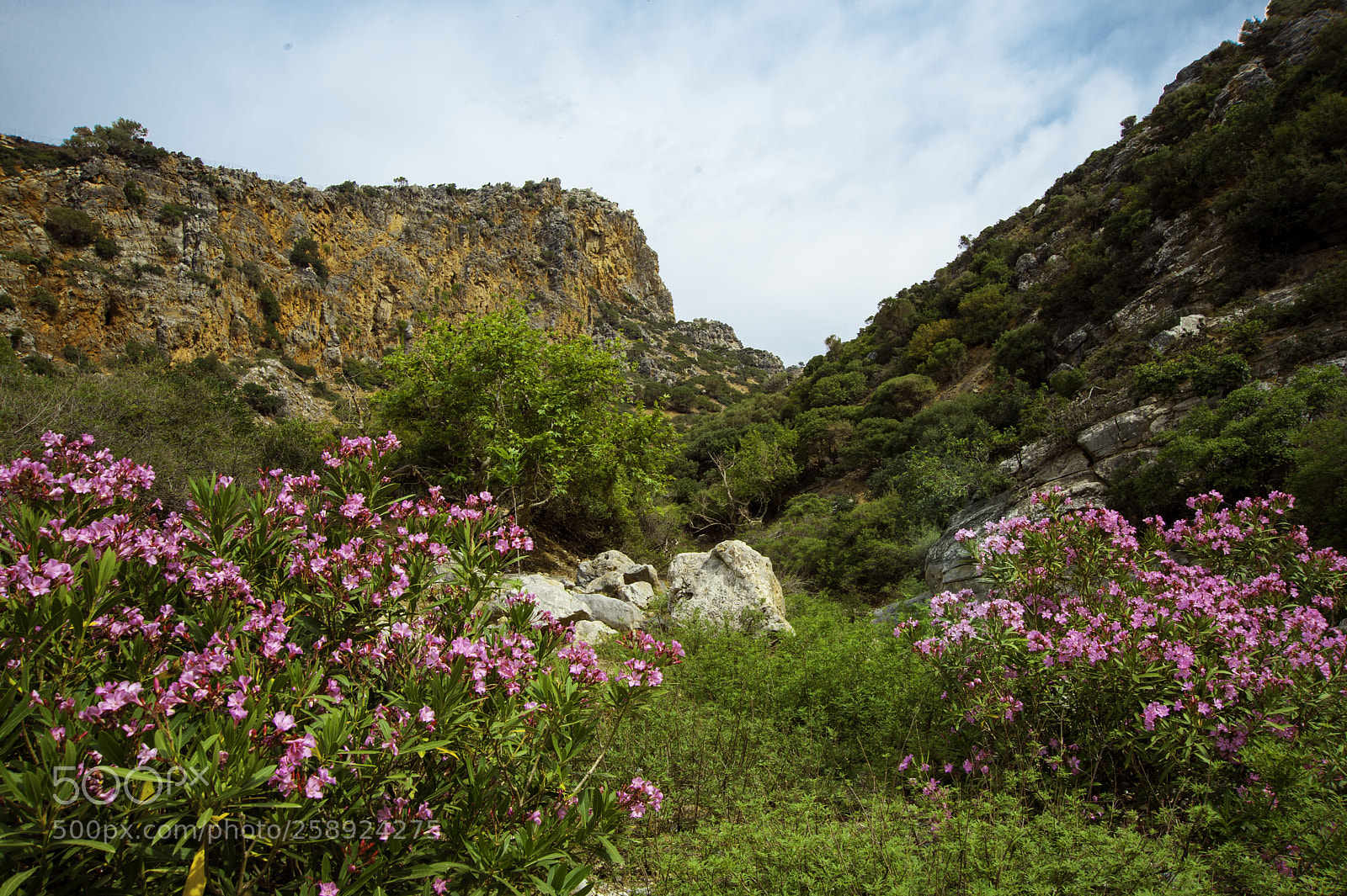 Nikon D700 sample photo. Crete, aposelemis canyon photography