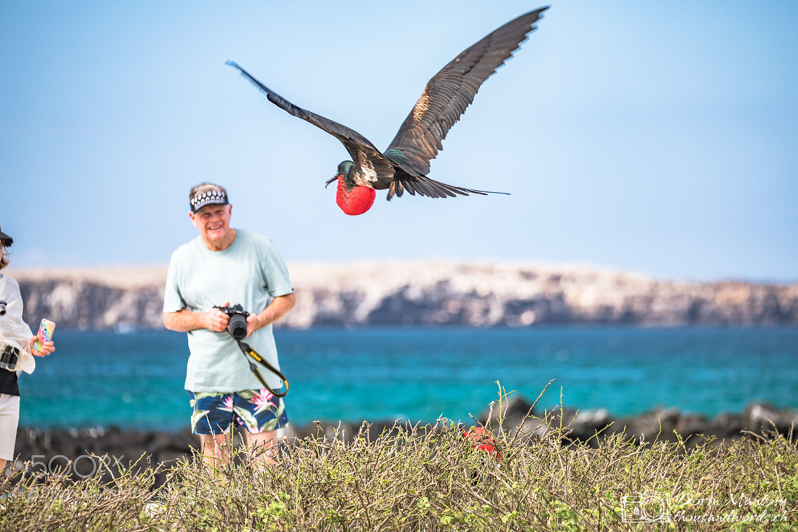 Canon EOS 5D Mark IV sample photo. Galapagos - isla genovesa photography
