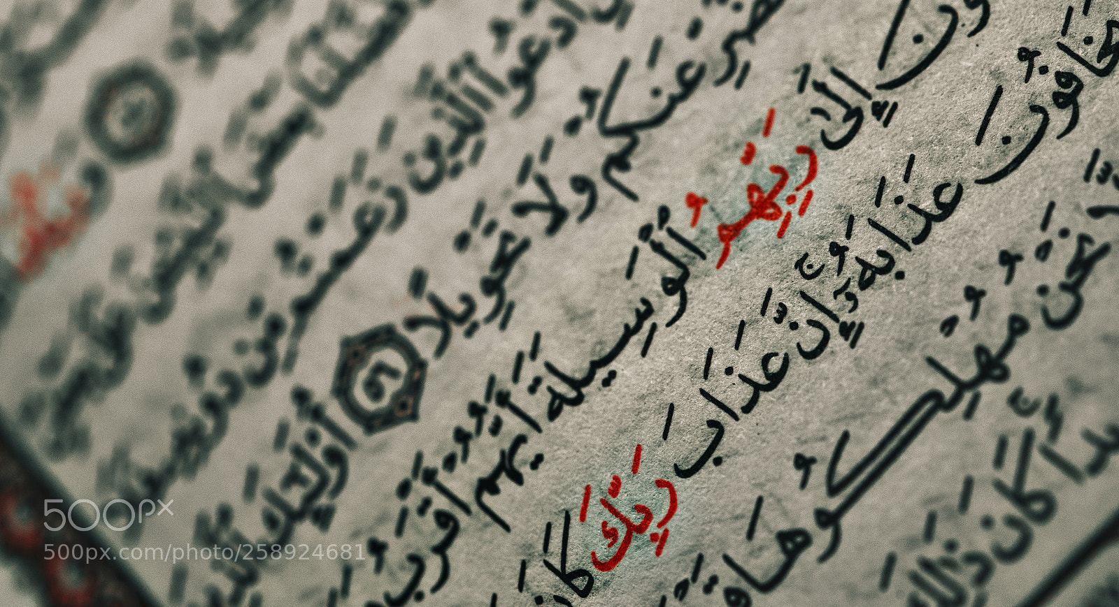 Nikon D610 sample photo. The holy quran photography