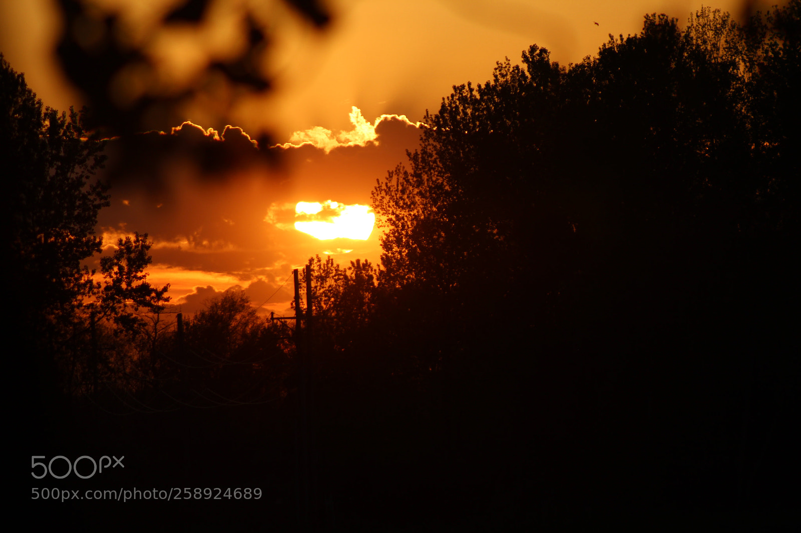 Canon EF 75-300mm f/4-5.6 sample photo. Img photography