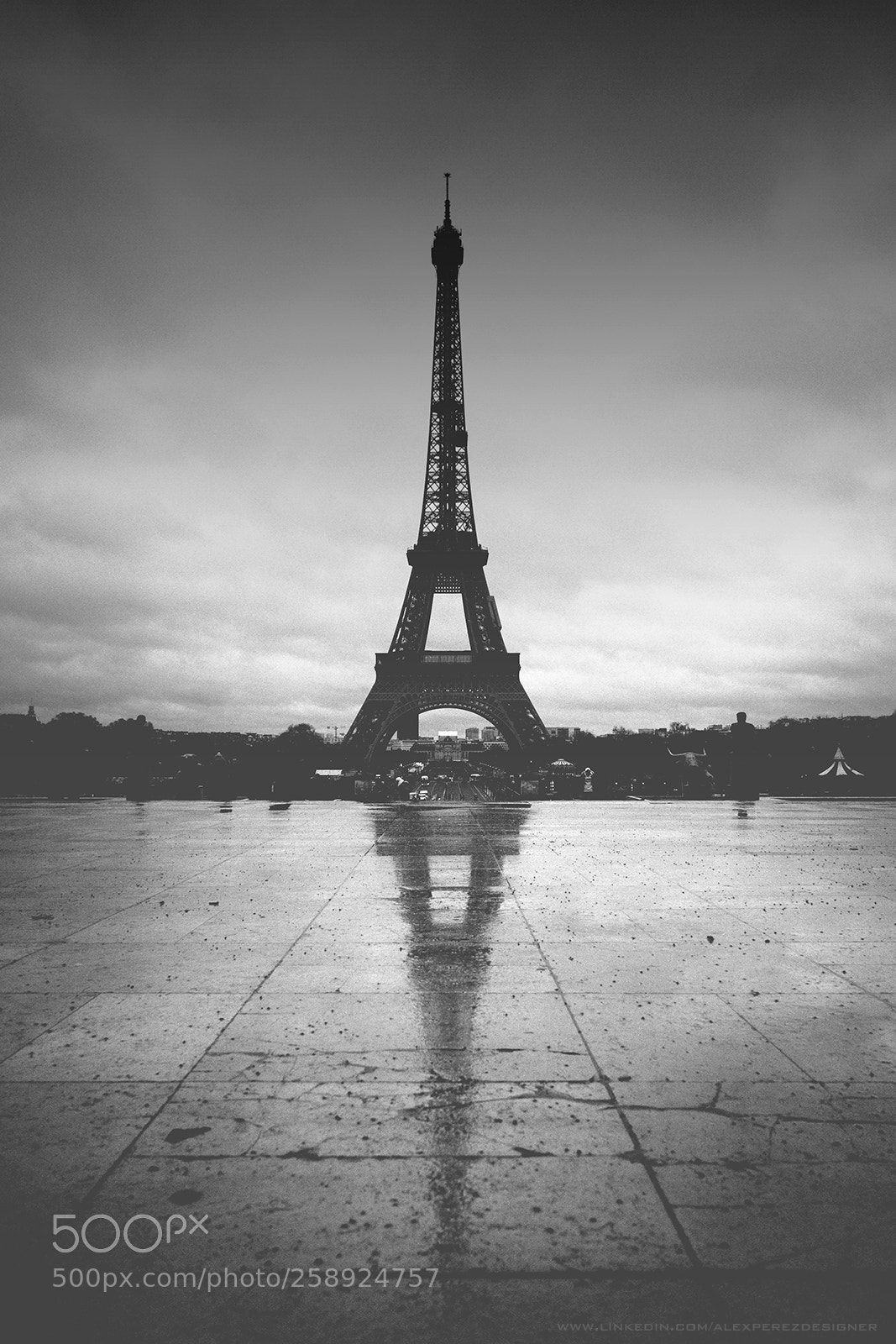Sony a7 sample photo. ^ photography