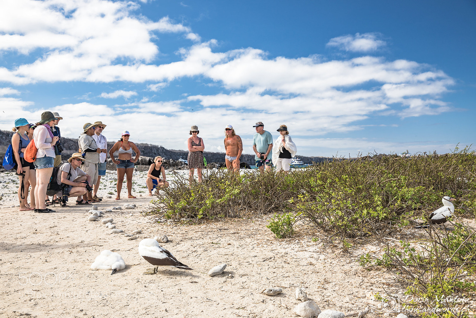 Canon EOS 5D Mark IV sample photo. Galapagos - isla genovesa photography