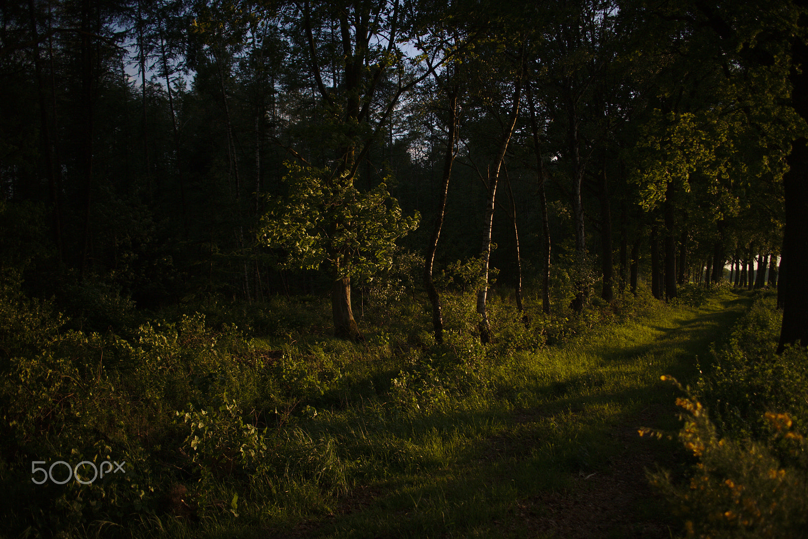 Canon EOS M3 + Canon EF-M 22mm F2 STM sample photo. Bos photography