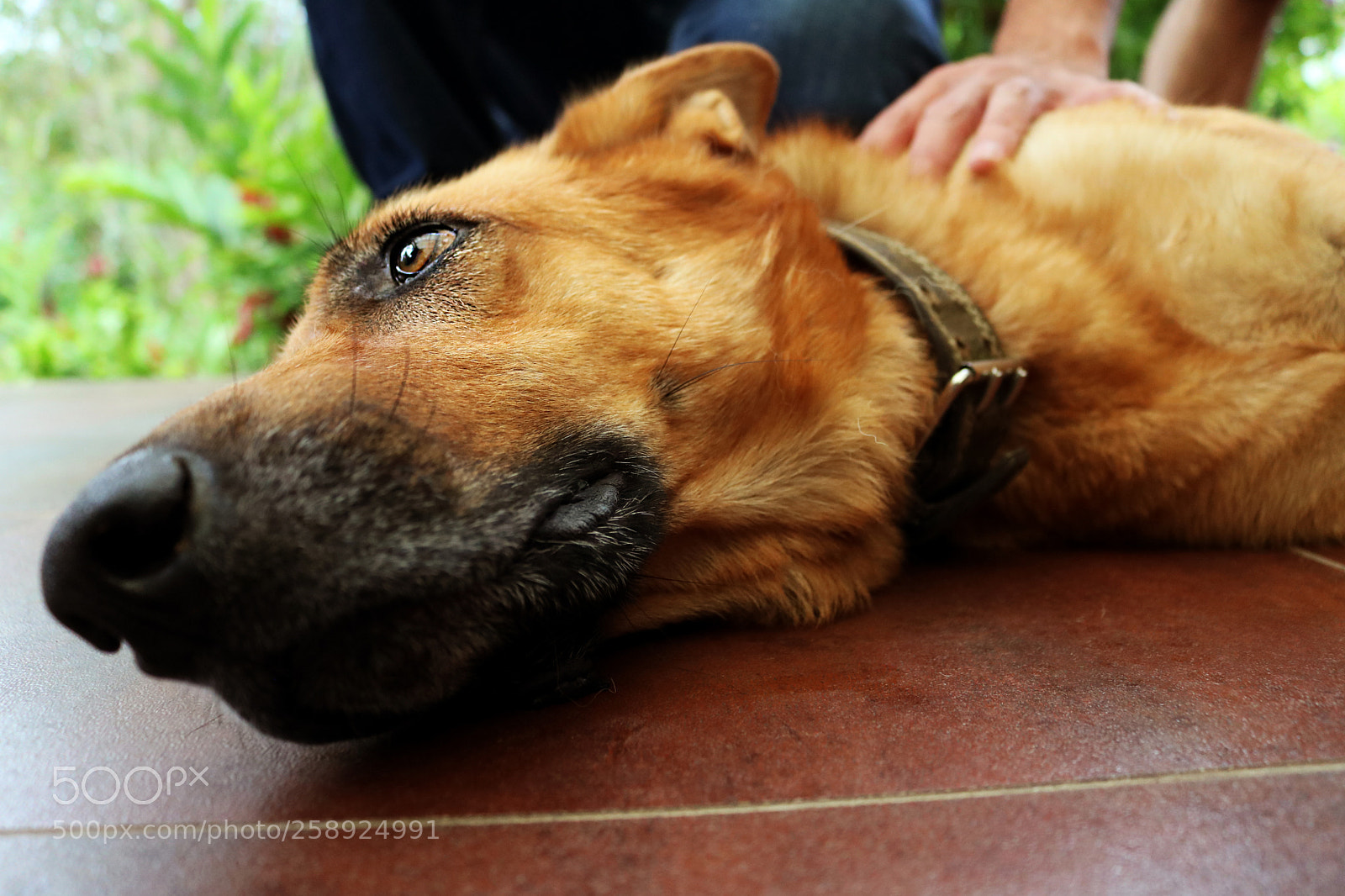 Canon EOS 750D (EOS Rebel T6i / EOS Kiss X8i) sample photo. Eyes of an angel photography