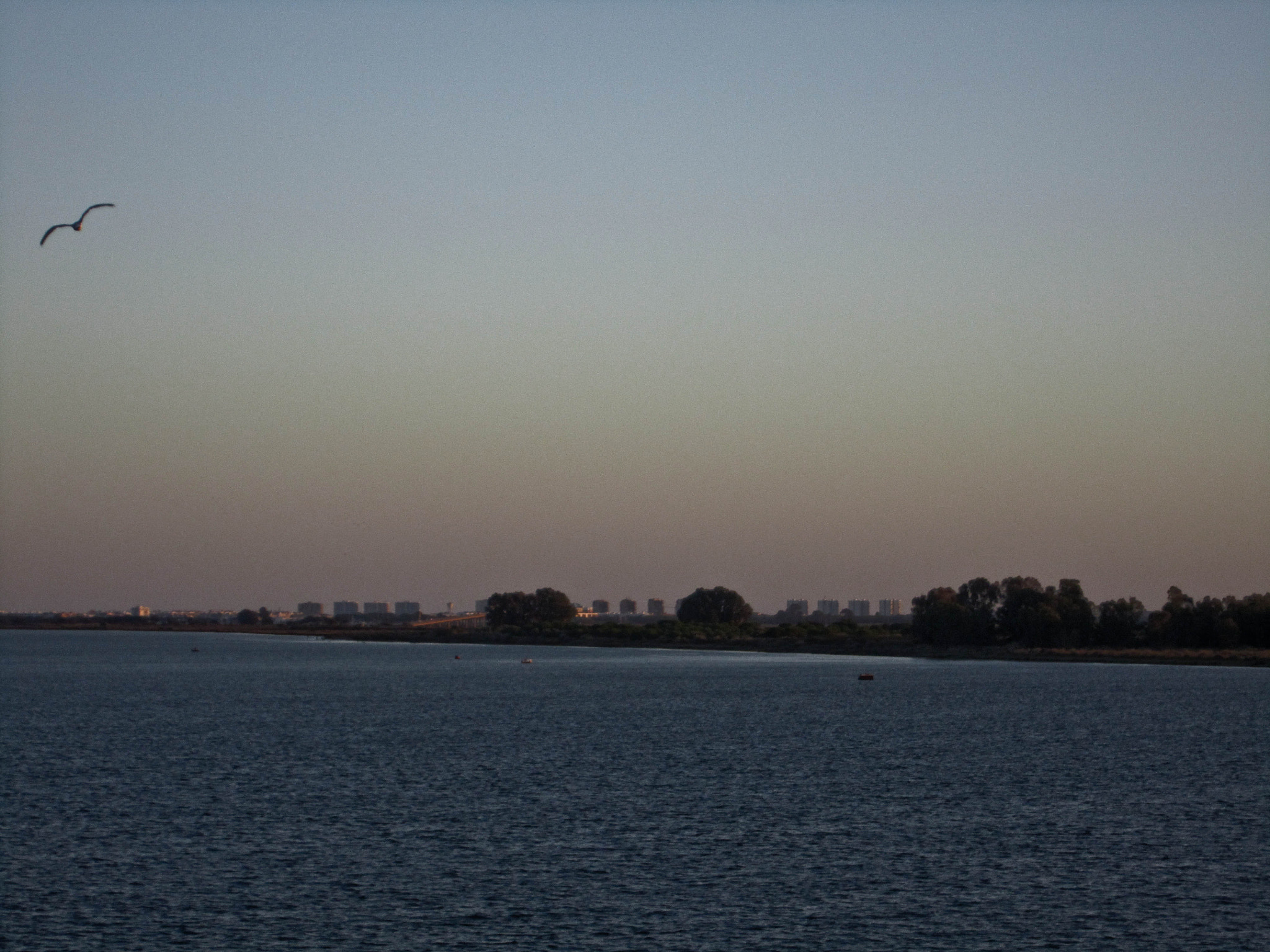 Canon PowerShot SD1400 IS (IXUS 130 / IXY 400F) sample photo. Sunset in the lake photography