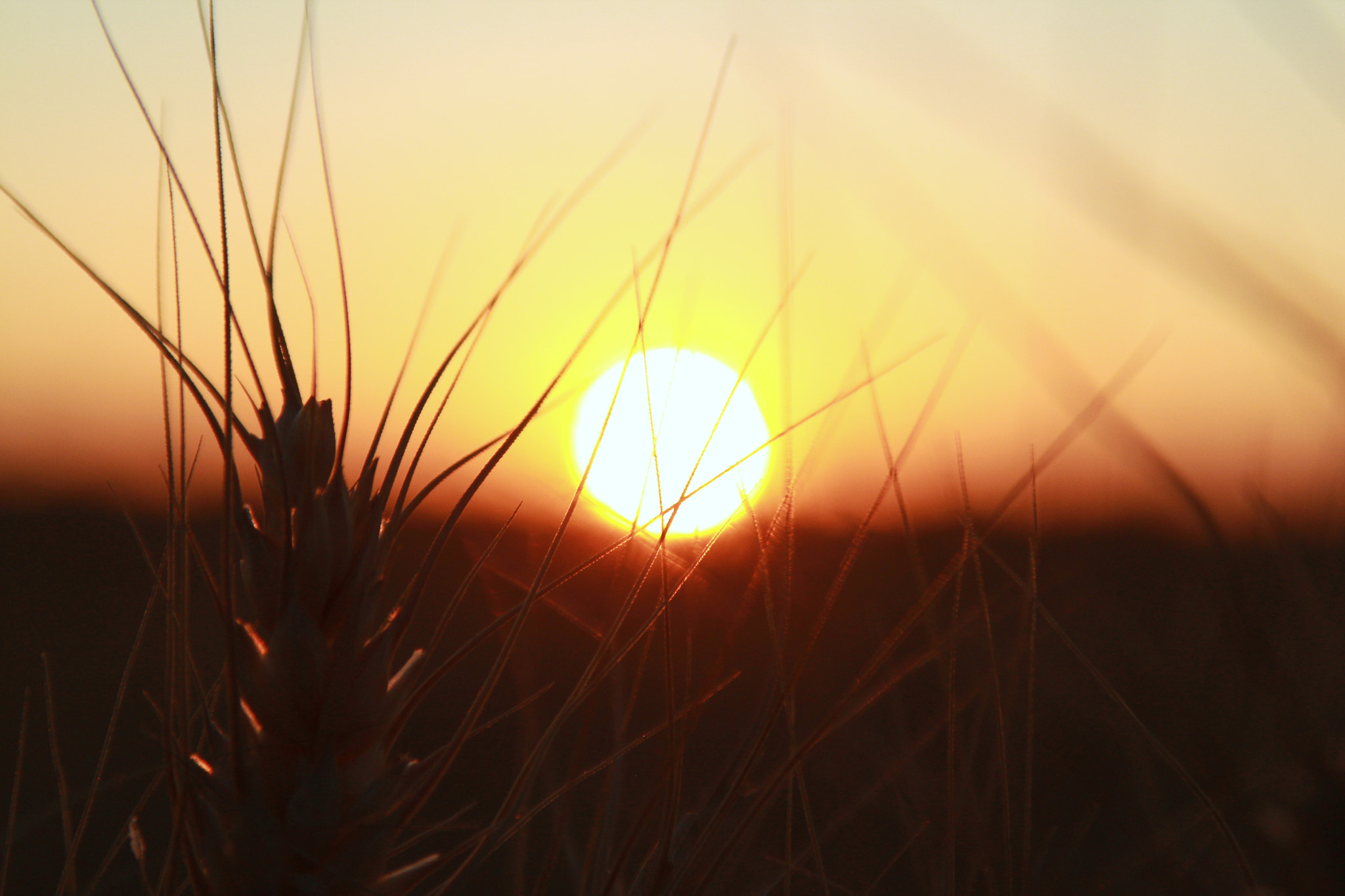 Canon EOS 600D (Rebel EOS T3i / EOS Kiss X5) sample photo. Atardecer photography