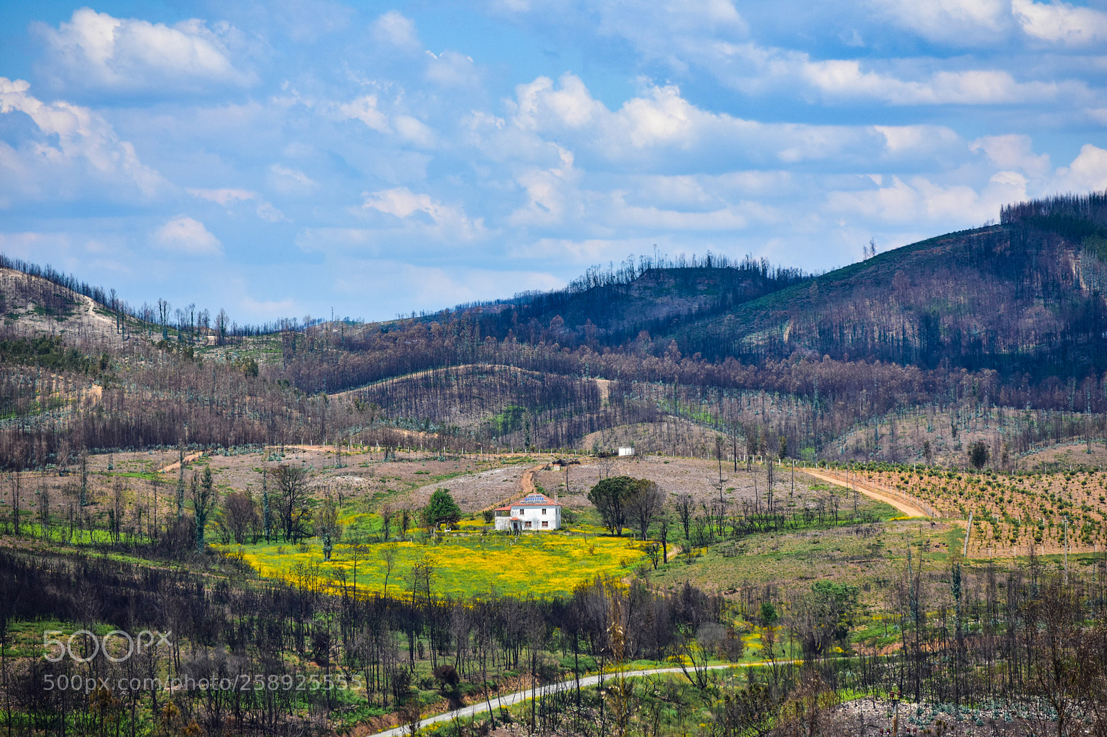 Nikon D3400 sample photo. A peaceful life photography