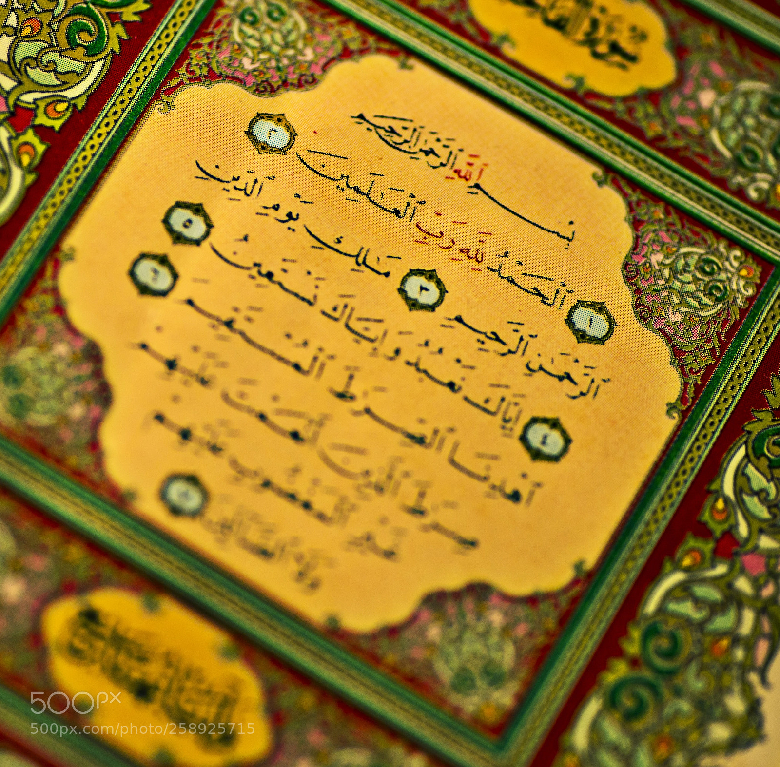 Nikon D610 sample photo. The holy quran photography