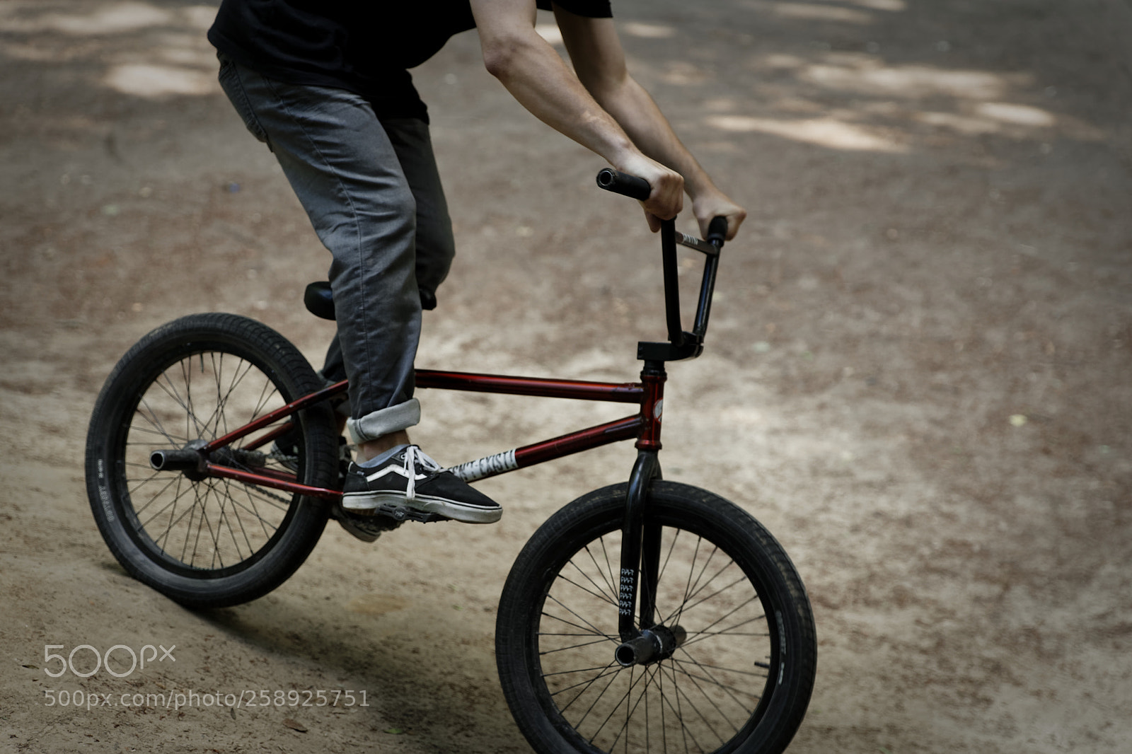 Canon EOS 6D Mark II sample photo. Riders in the woods photography