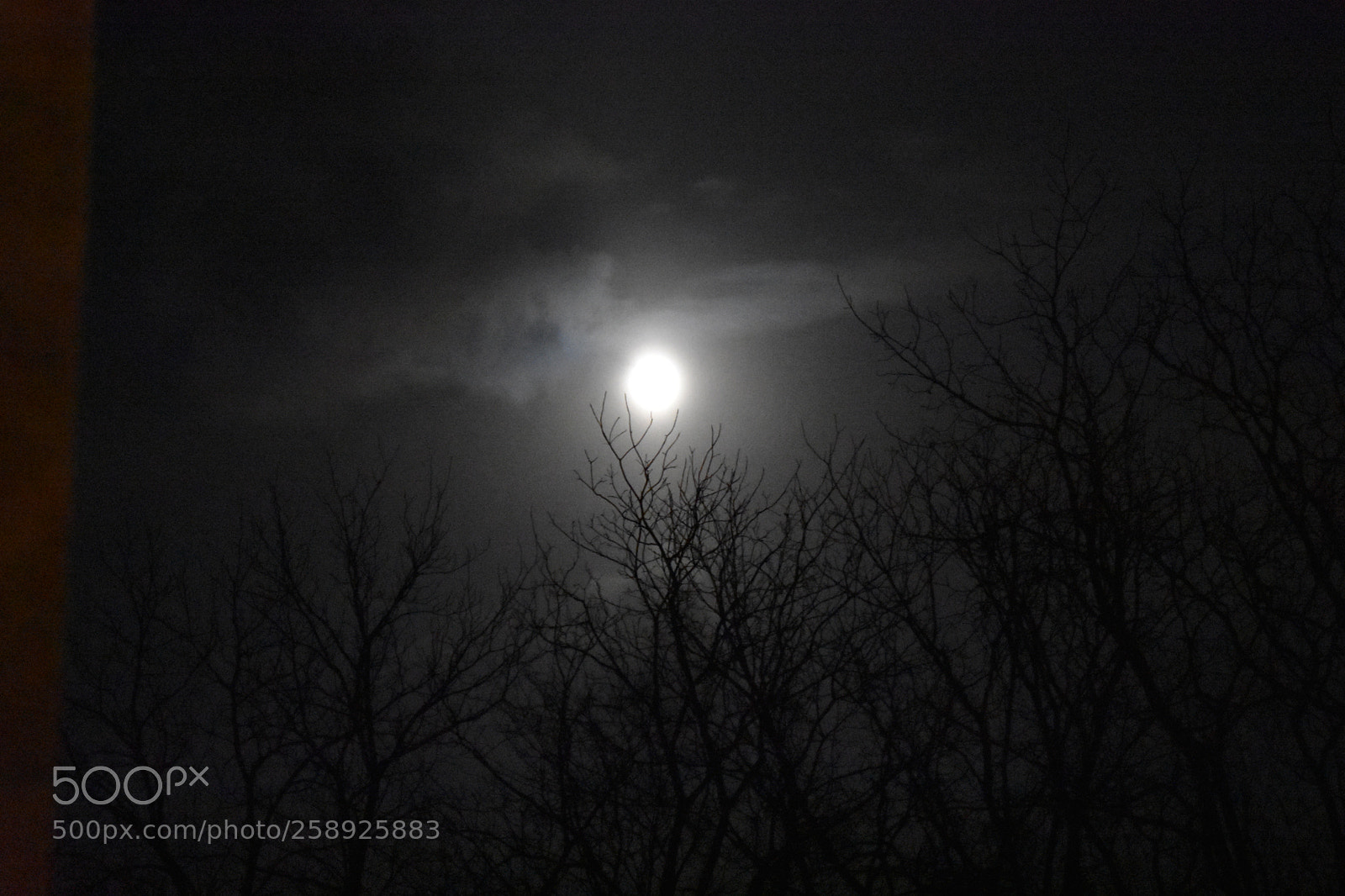 Nikon D3400 sample photo. Moon photography