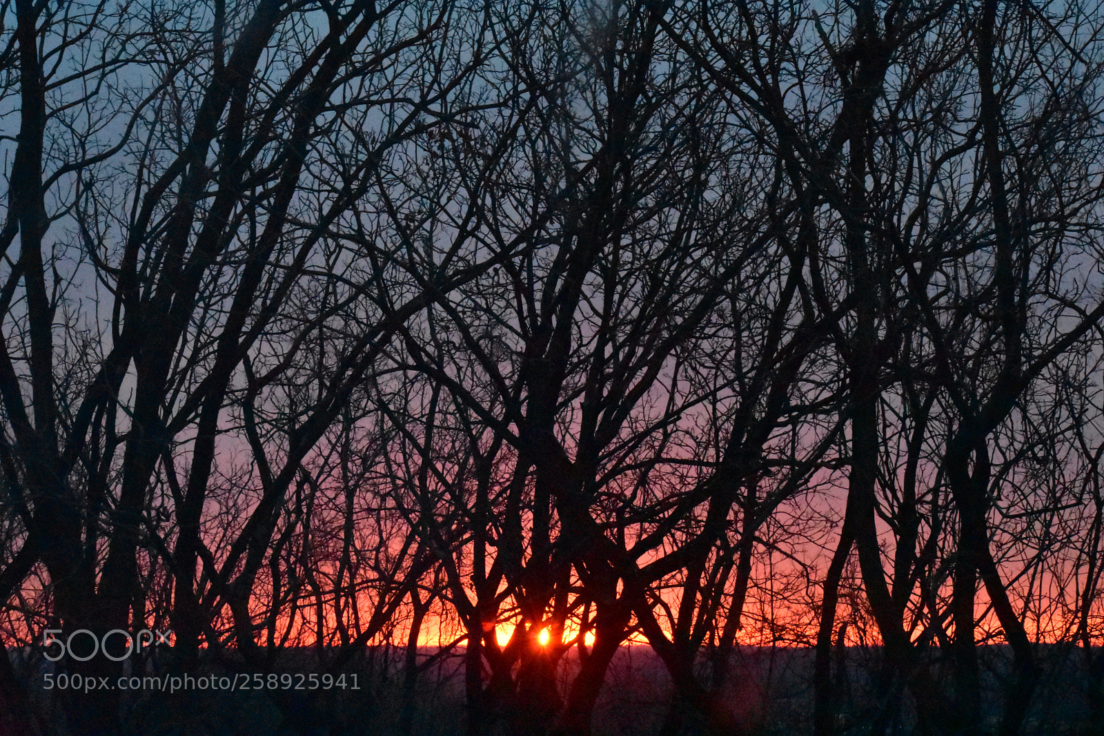 Nikon D3400 sample photo. Sunrise photography