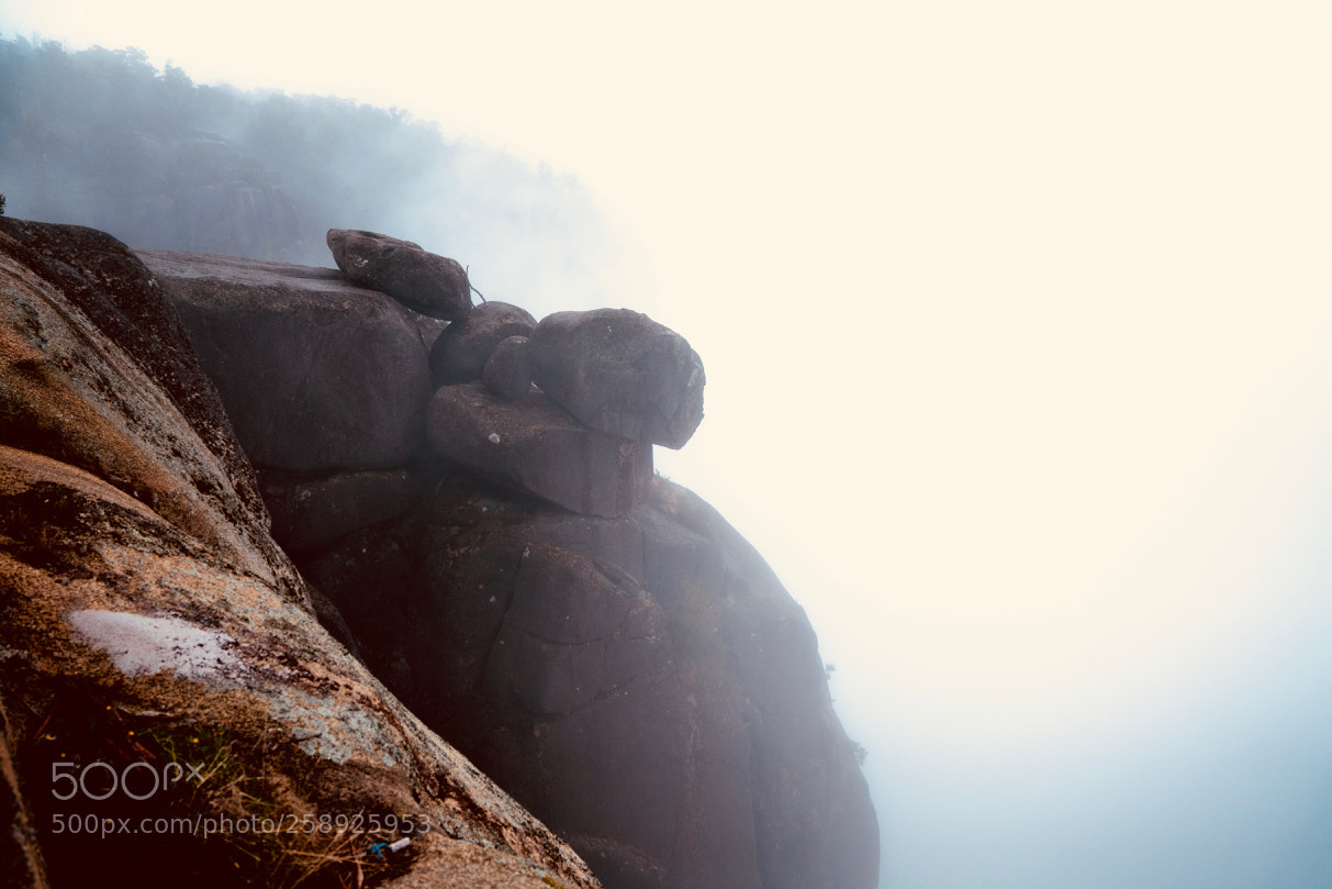 Sony a7R II sample photo. Dsc photography