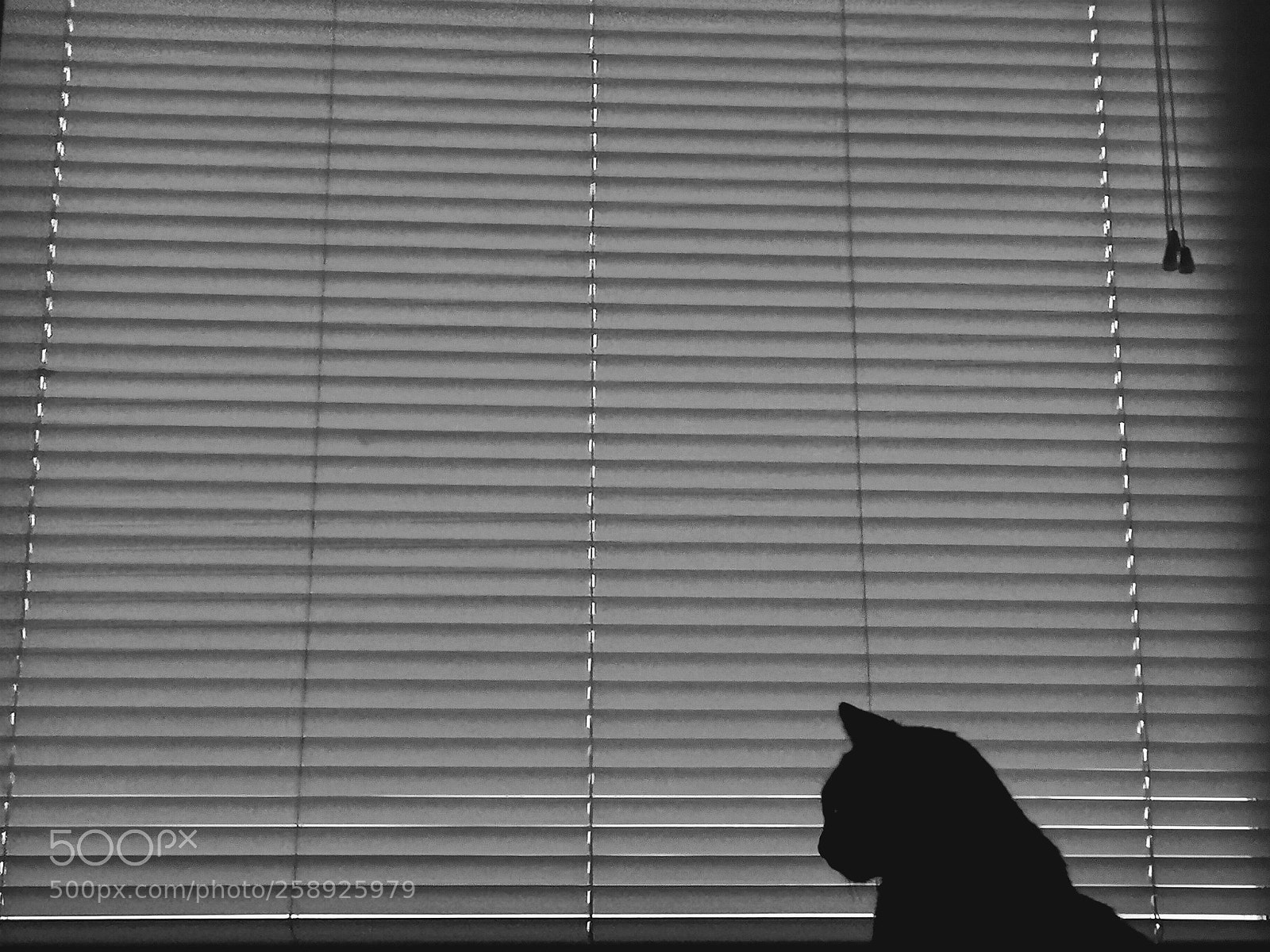 HUAWEI CLT-L29 sample photo. Untitled photography