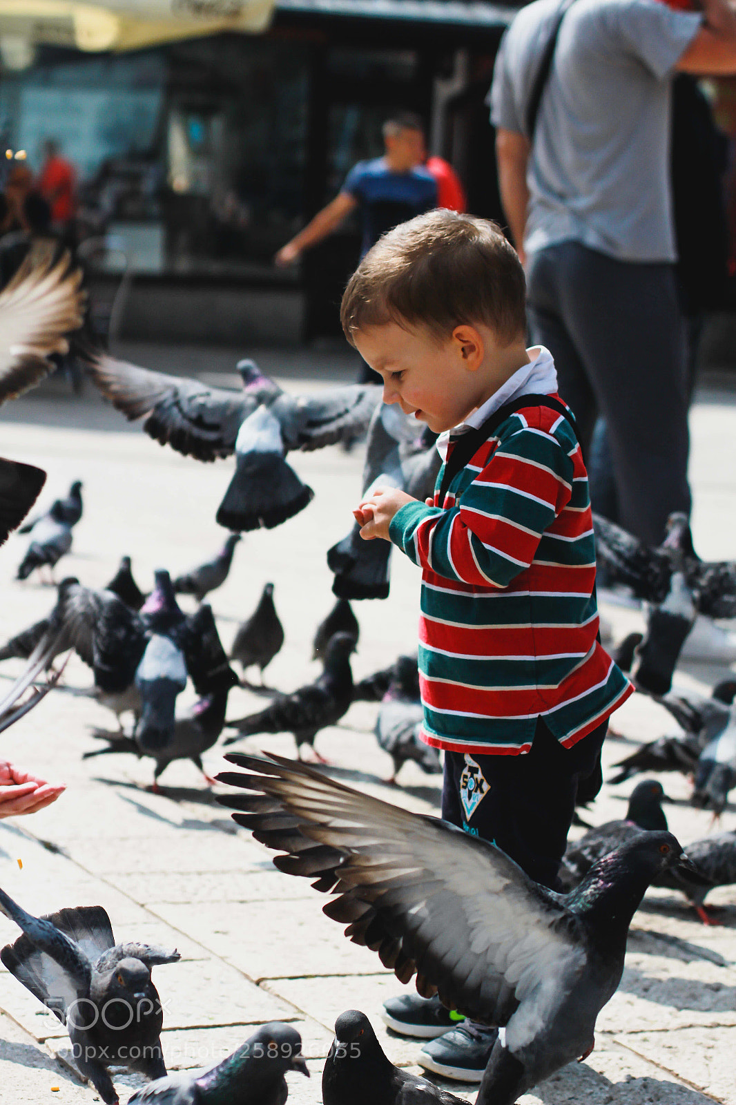 Canon EOS 1200D (EOS Rebel T5 / EOS Kiss X70 / EOS Hi) sample photo. Sarajevo photography
