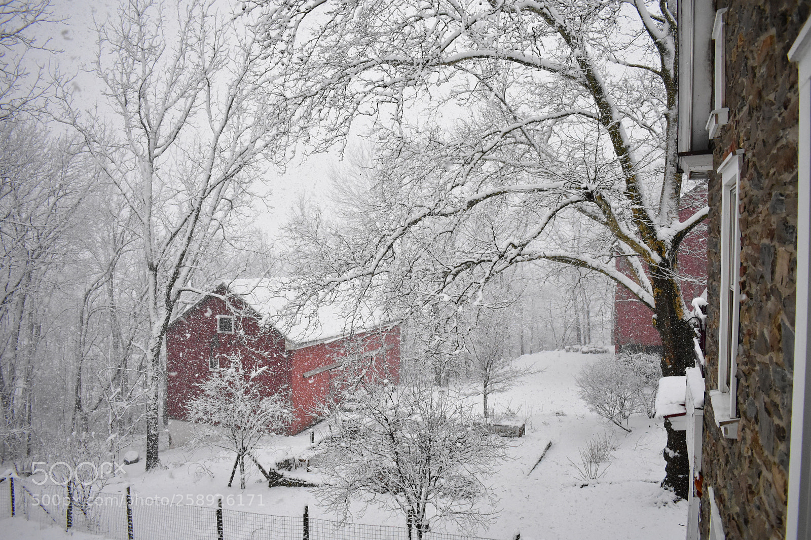 Nikon D3400 sample photo. Barns photography