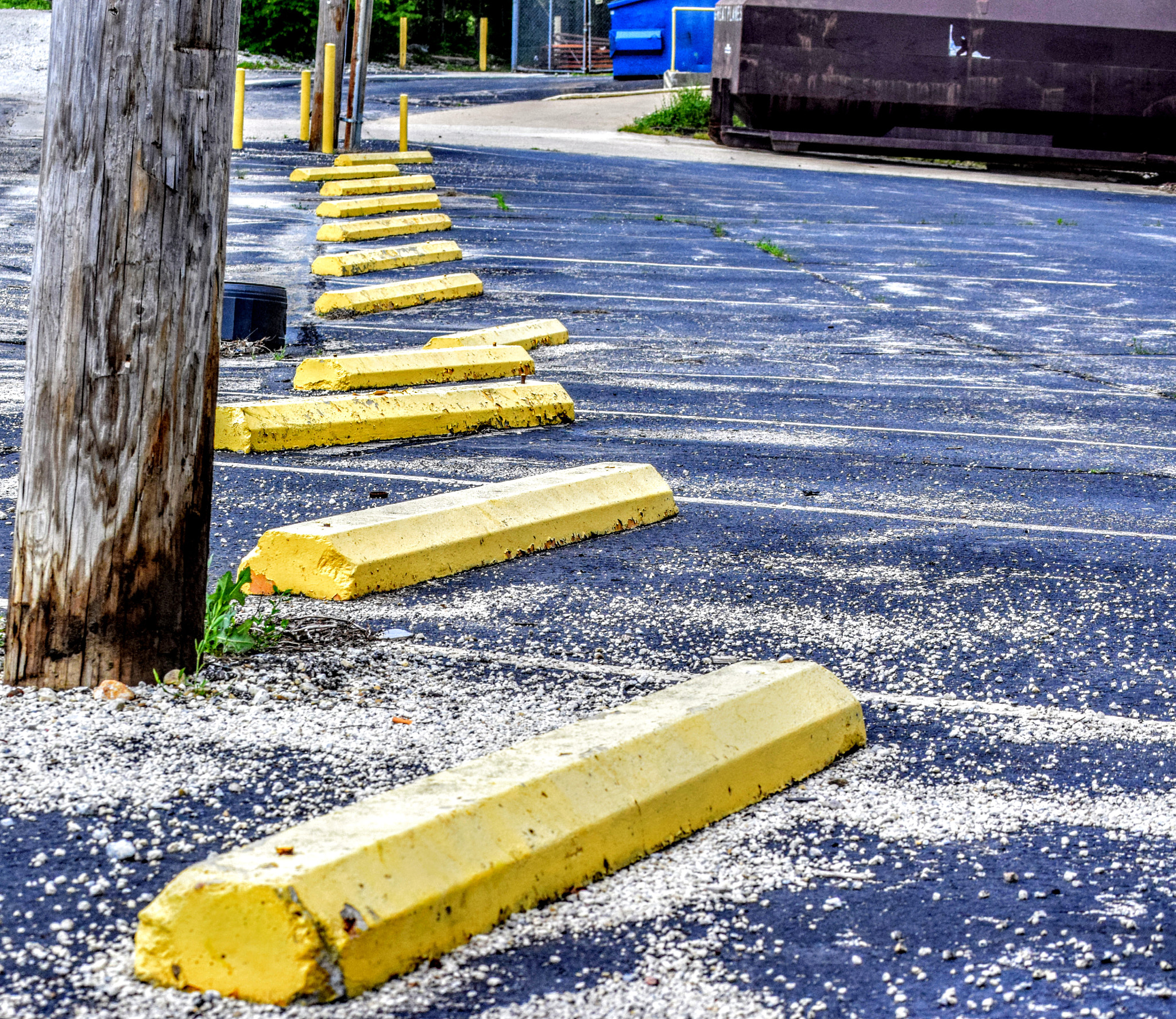 Nikon D3300 sample photo. Keep calm and... photography