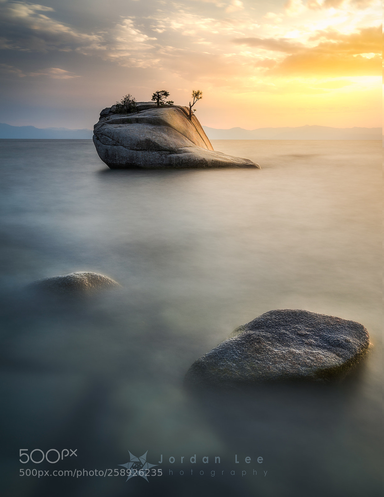 Sony a7 sample photo. Bonsai madness photography