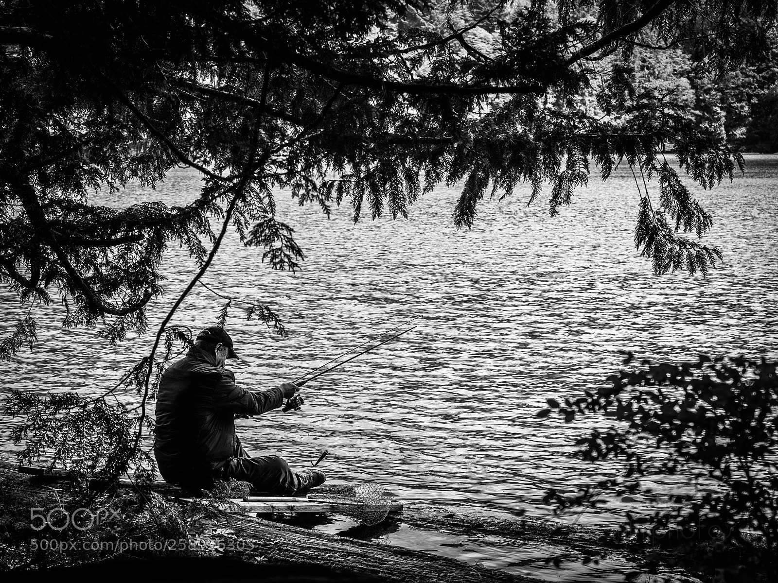 Olympus OM-D E-M5 II sample photo. Fishing at alice lake photography