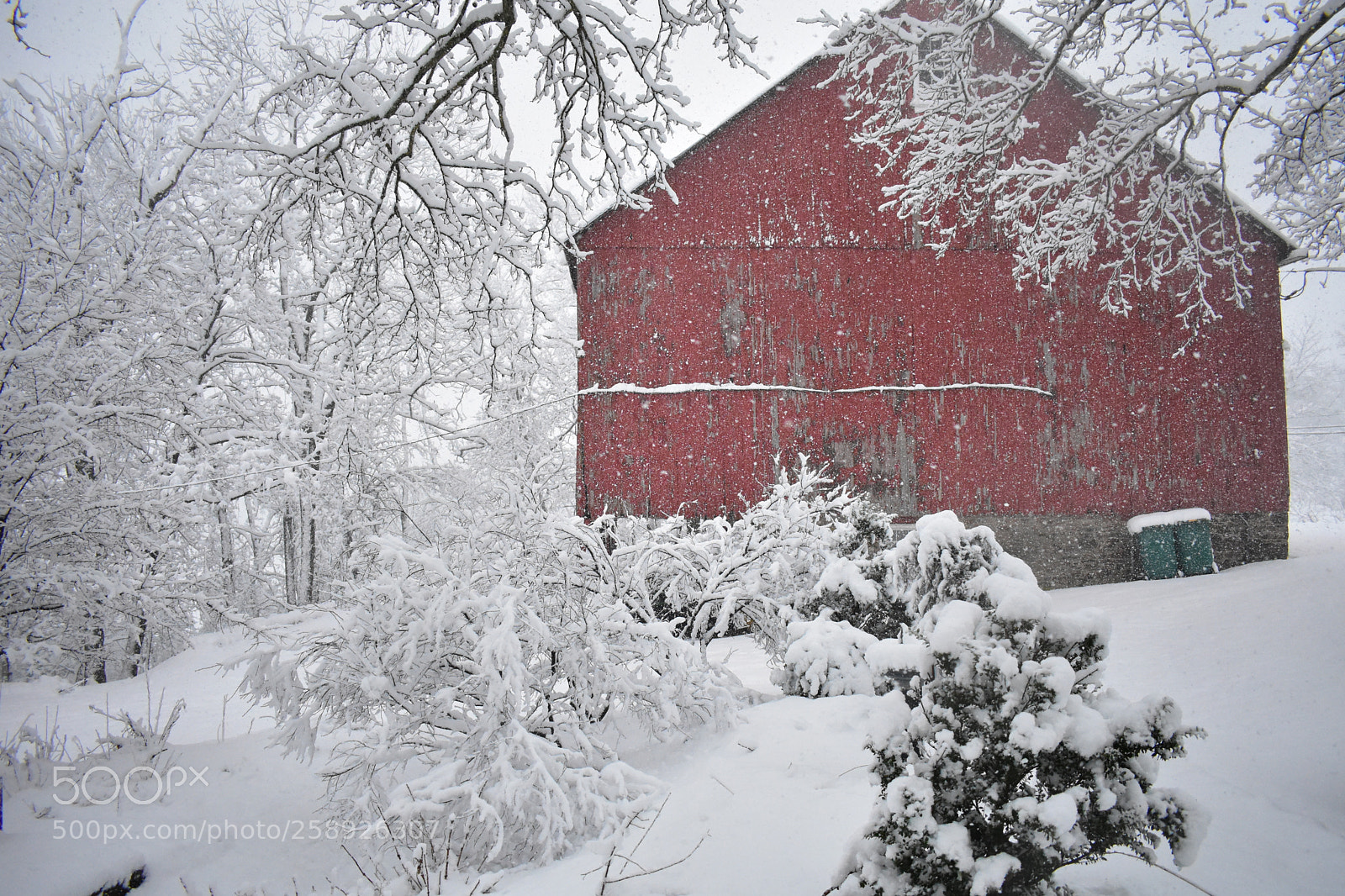 Nikon D3400 sample photo. Barns photography