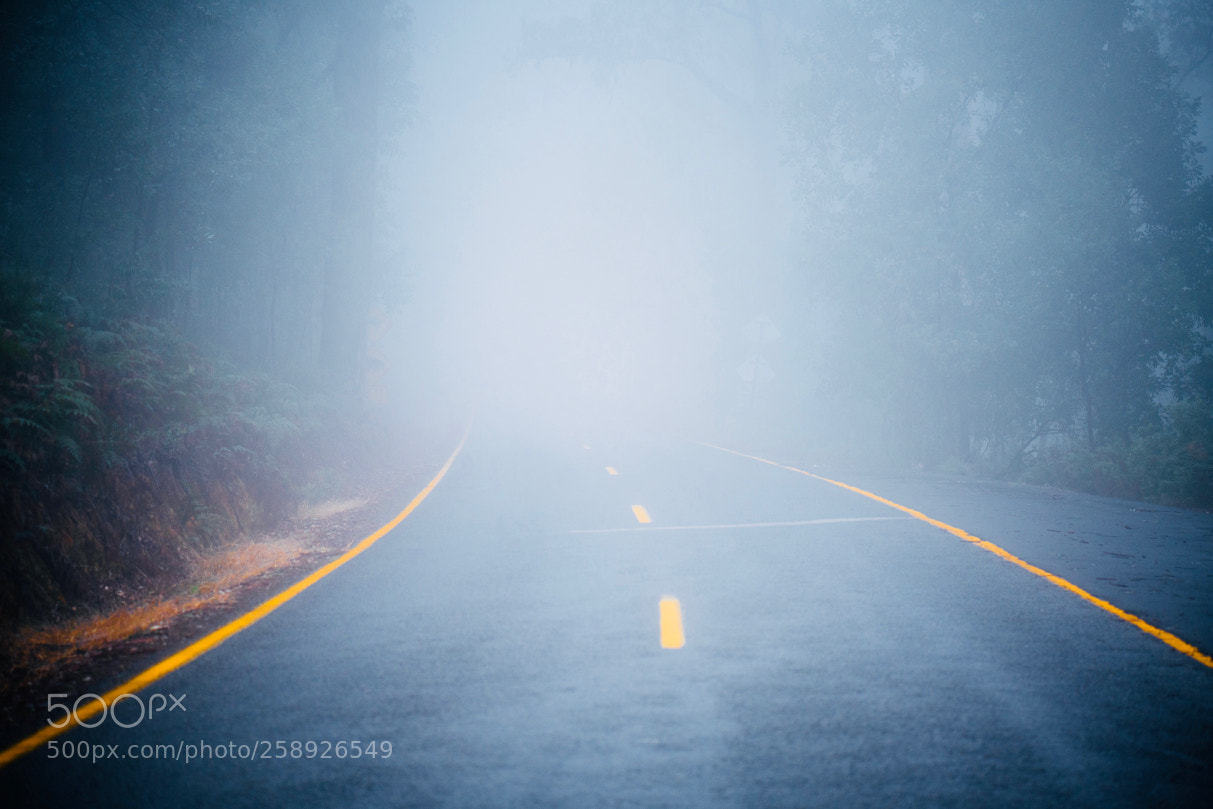 Sony a7R II sample photo. Dsc photography