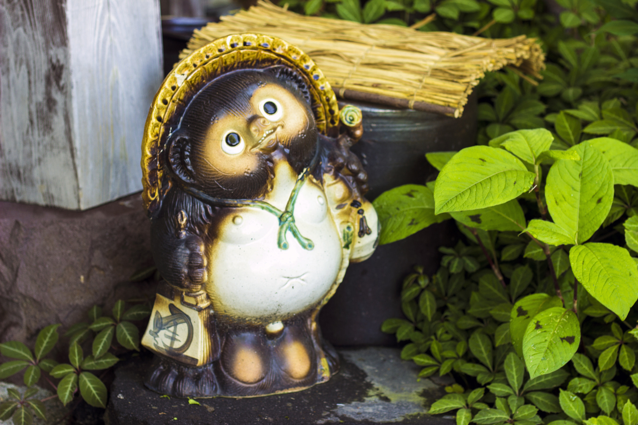 Canon EOS 600D (Rebel EOS T3i / EOS Kiss X5) sample photo. 信楽狸 sigaraki tanuki photography
