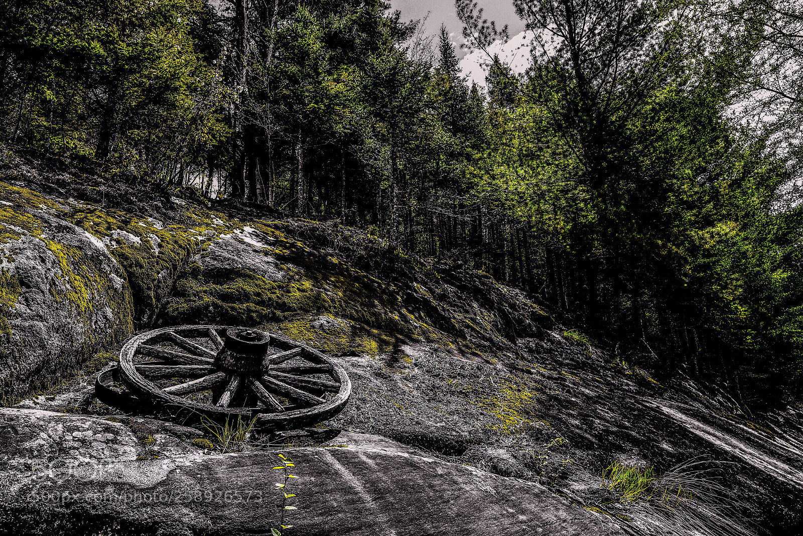 Nikon D750 sample photo. Paysage coup de c photography