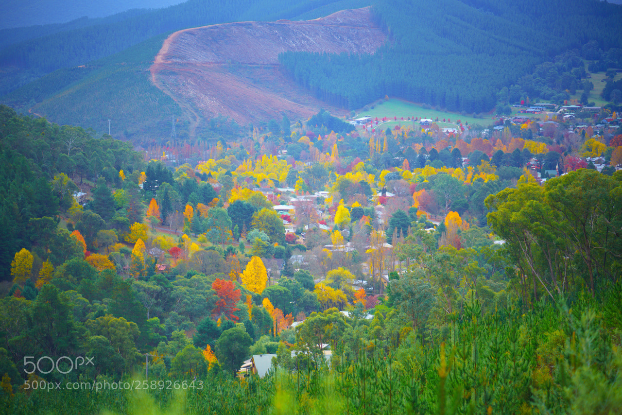 Sony a7R II sample photo. Dsc photography