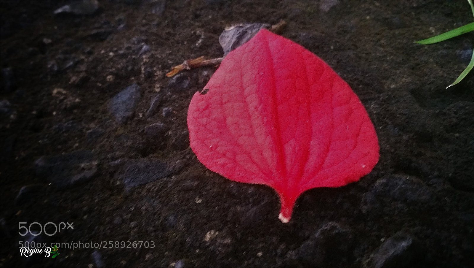Samsung Galaxy Note4 sample photo. For those who have photography