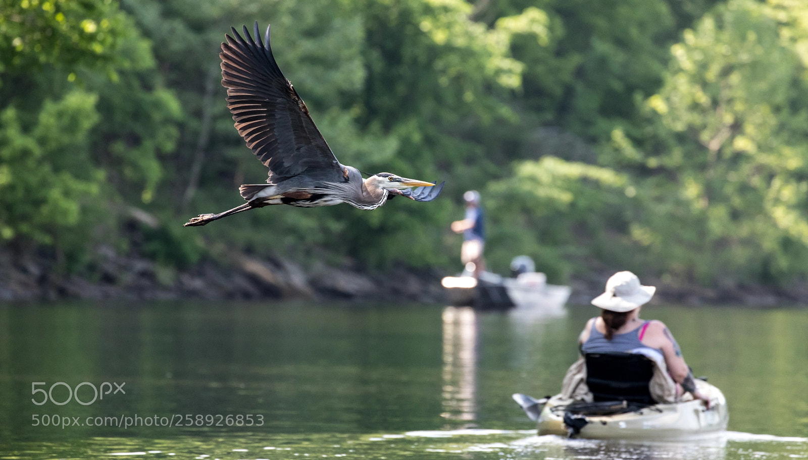 Canon EOS 5D Mark IV sample photo. Passing photography