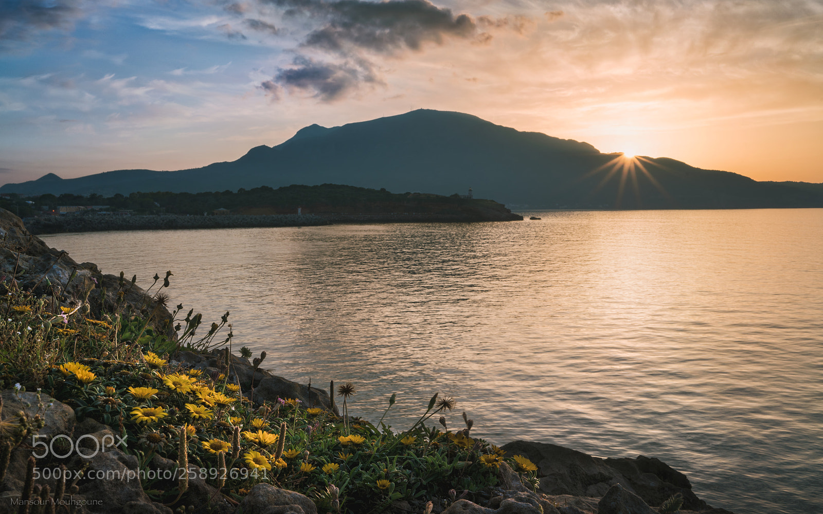 Sony a7R II sample photo. Tipaza photography