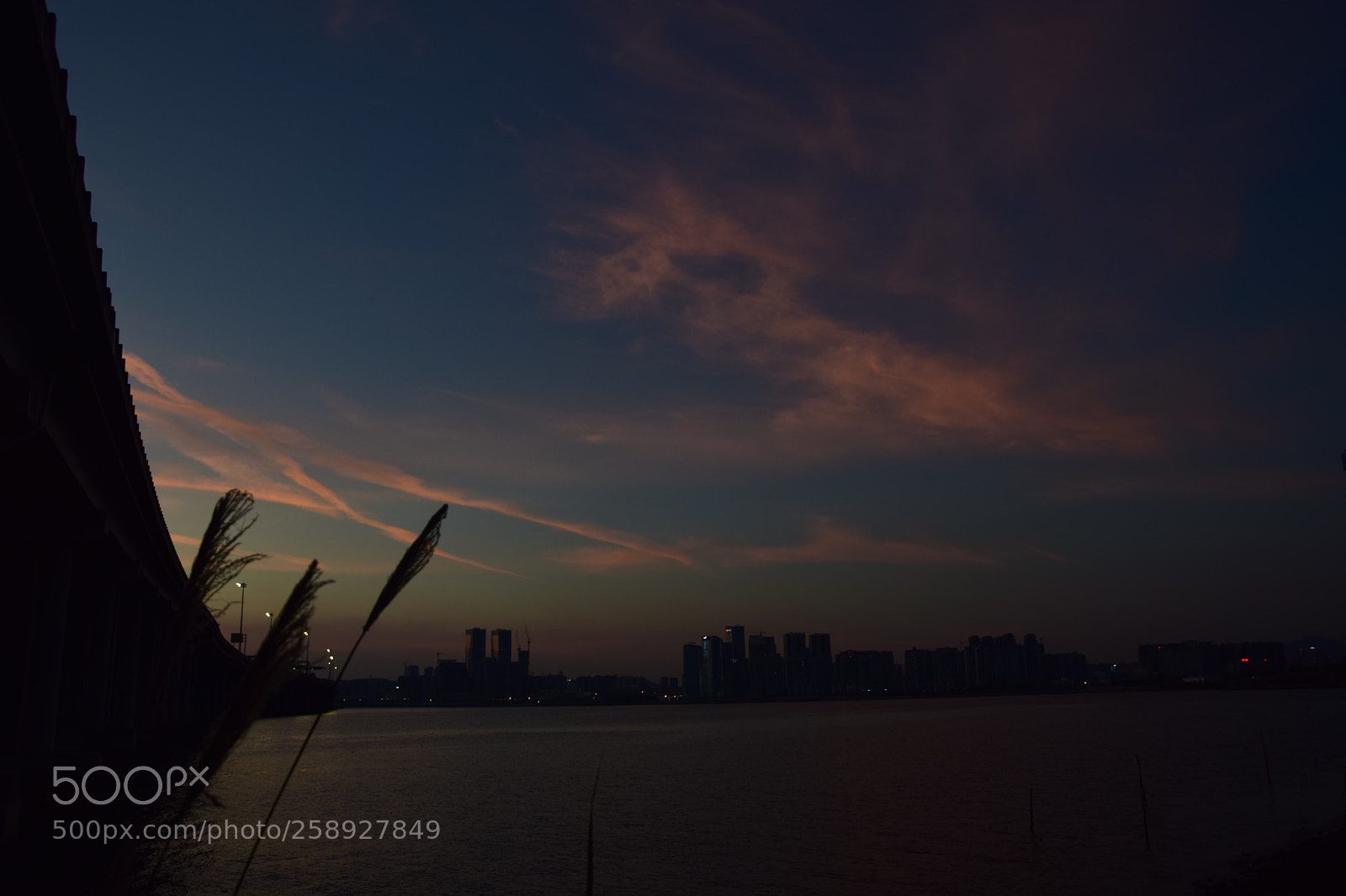 Nikon D5300 sample photo. Untitled photography