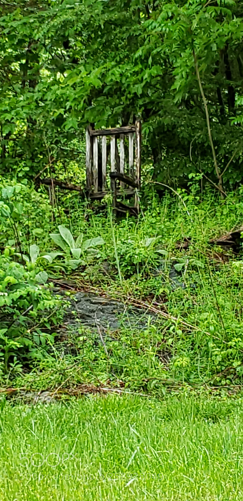 Samsung Galaxy S9+ sample photo. Untitled photography