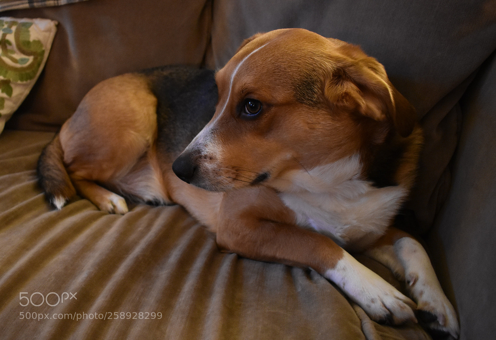 Nikon D3400 sample photo. Indy photography