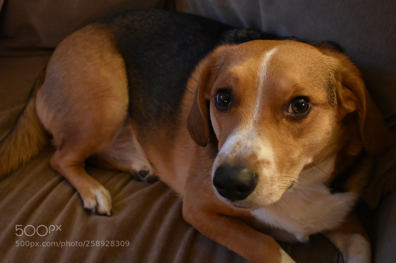 Nikon D3400 sample photo. Indy photography