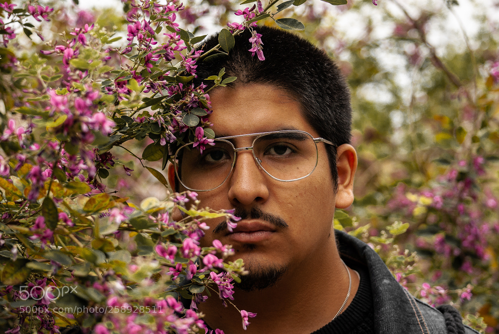 Nikon D3000 sample photo. P talos de oto photography