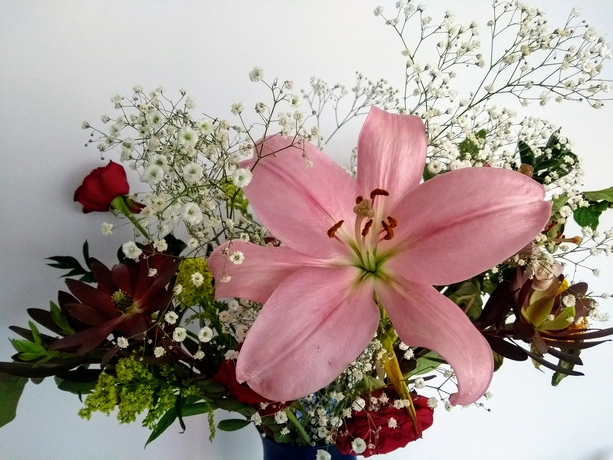 Motorola Moto G (5th Gen) sample photo. Primavera ornamental photography