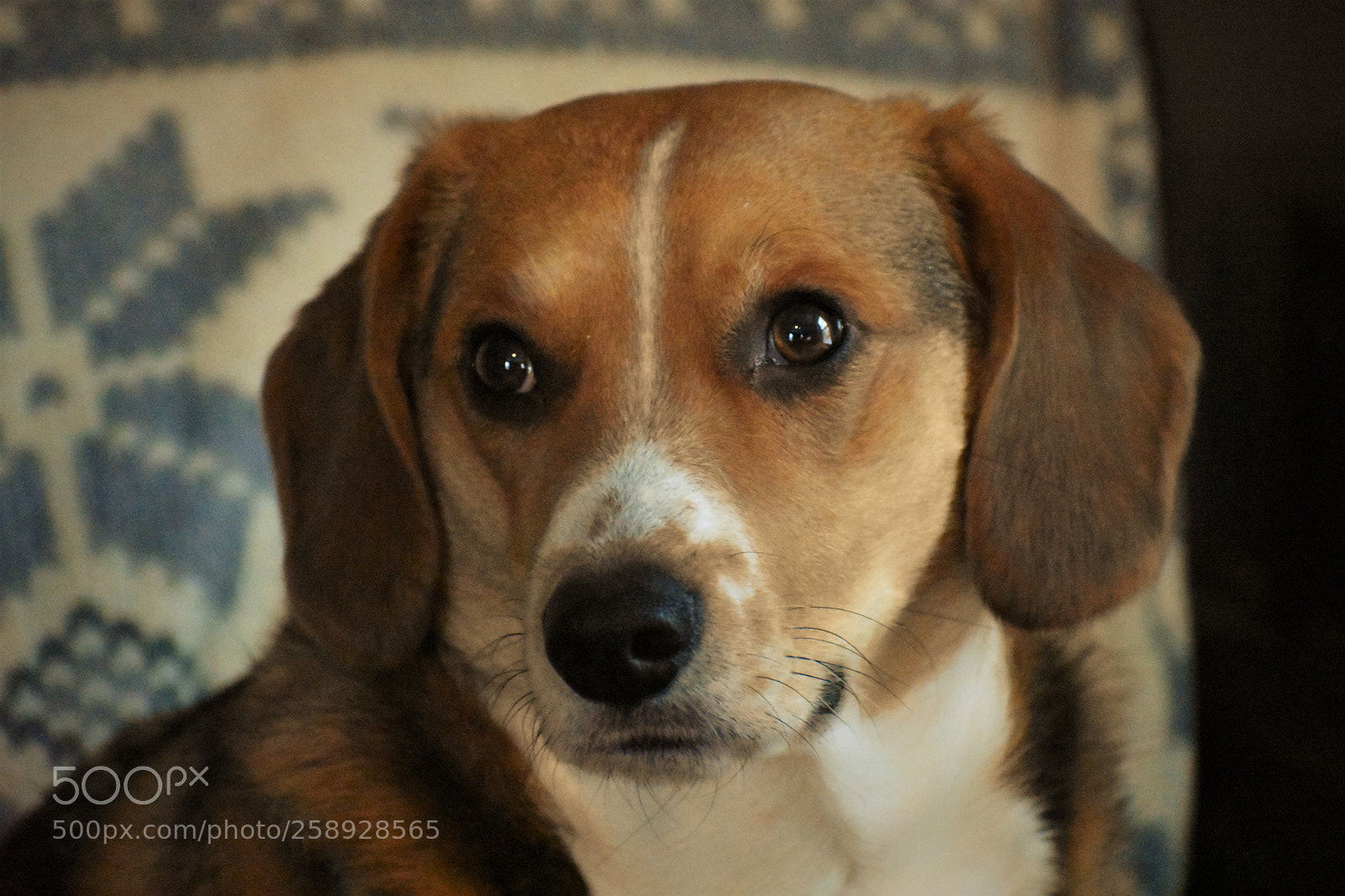 Nikon D3400 sample photo. Indy photography