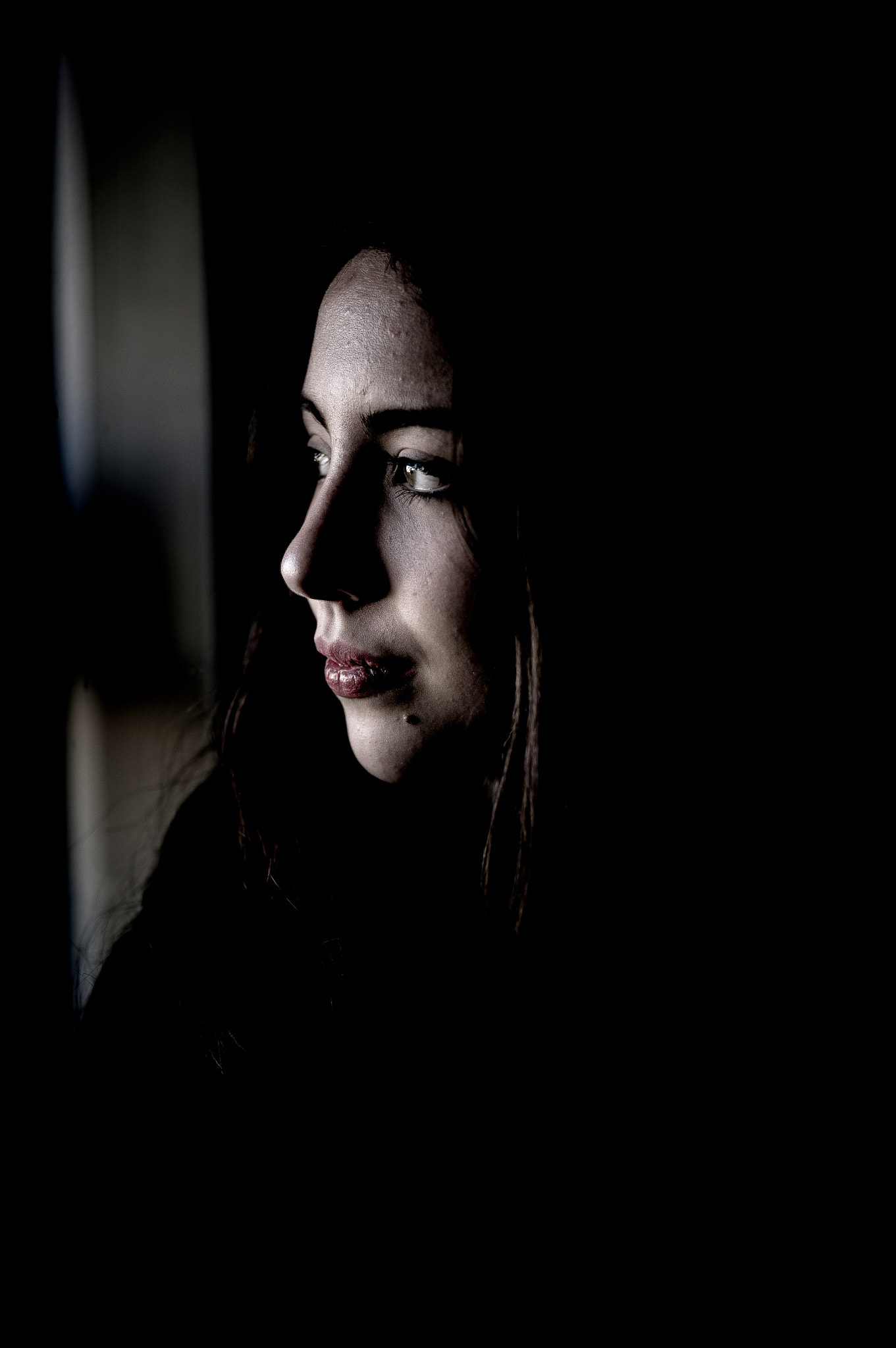 Leica S2 sample photo. Winter shade photography