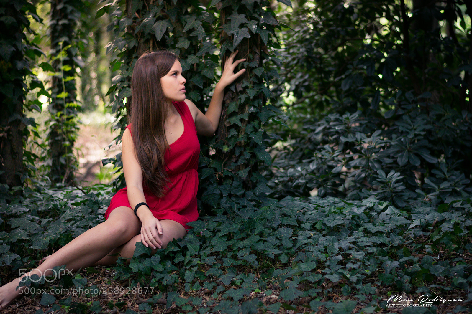 Nikon D3300 sample photo. Ladies of the forest photography