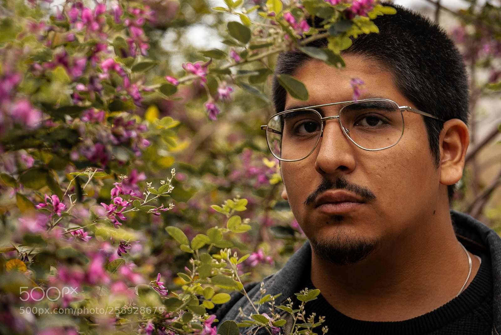 Nikon D3000 sample photo. P talos de oto photography