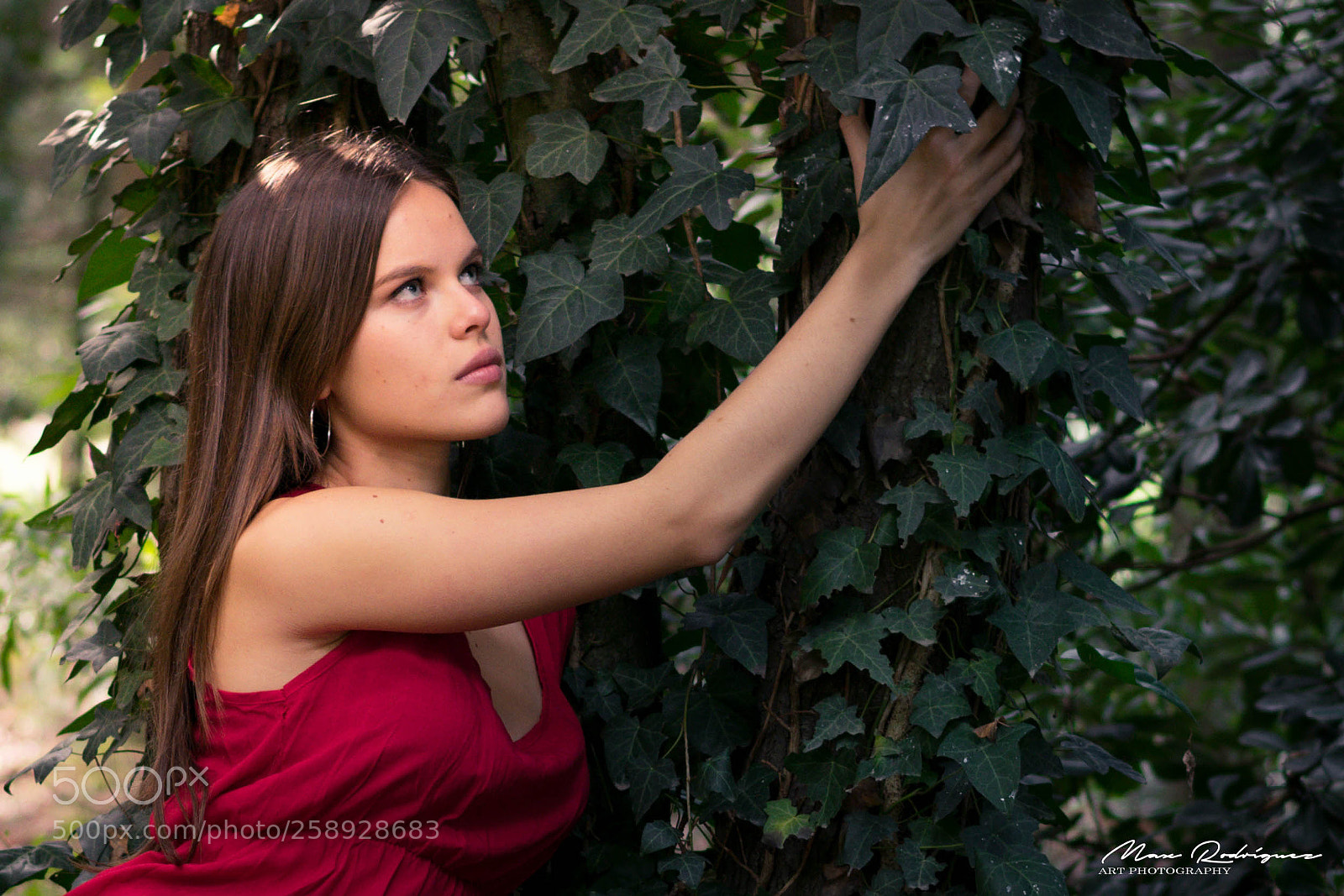 Nikon D3300 sample photo. Ladies of the forest photography