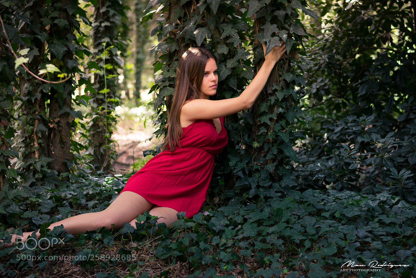 Nikon D3300 sample photo. Ladies of the forest photography