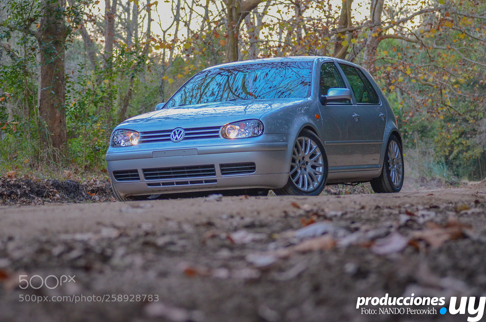 Nikon D5100 sample photo. Untitled photography