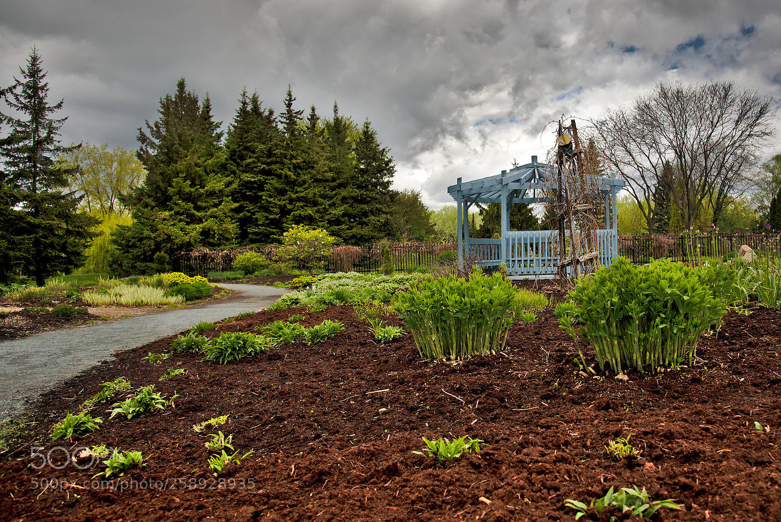 Nikon D750 sample photo. Moody landscape.jpg photography