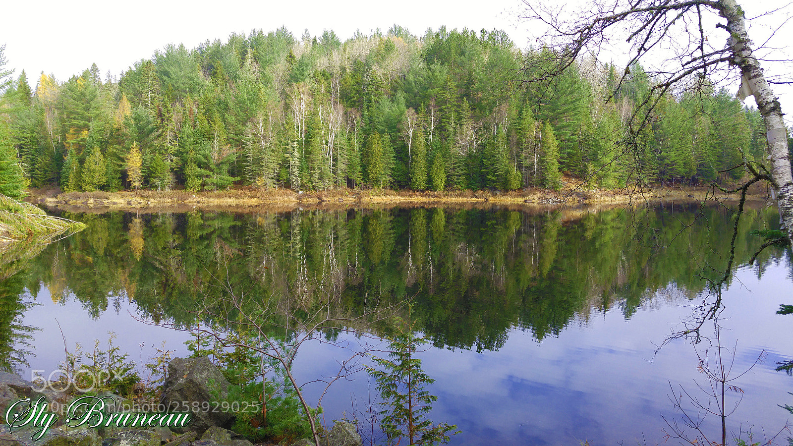 LG G4 sample photo. Lac cator, ste m photography