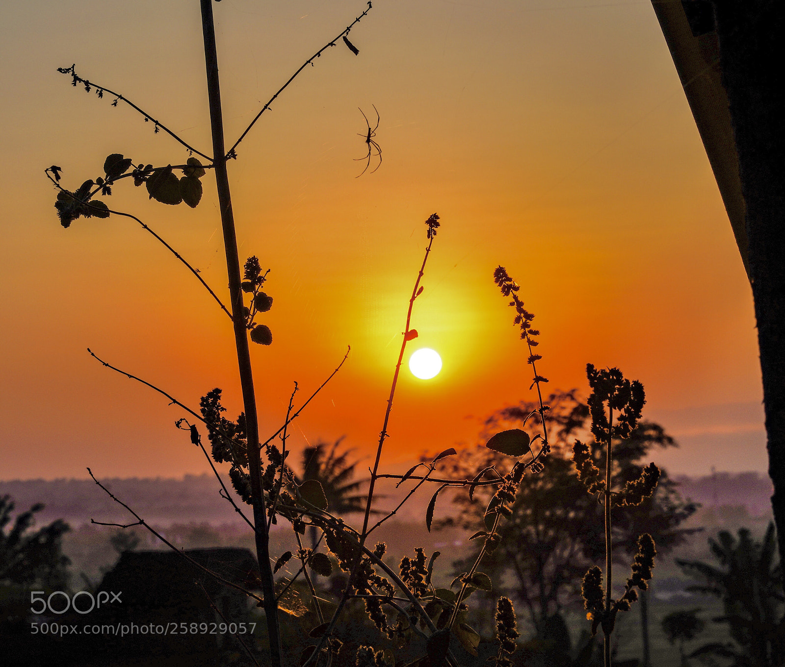 Sony a7R III sample photo. Untitled photography