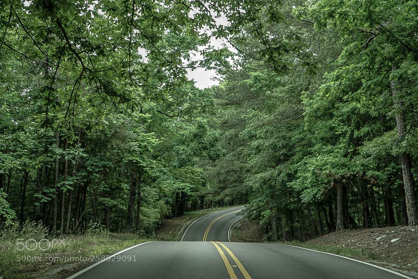 Sony a6000 sample photo. Untitled photography