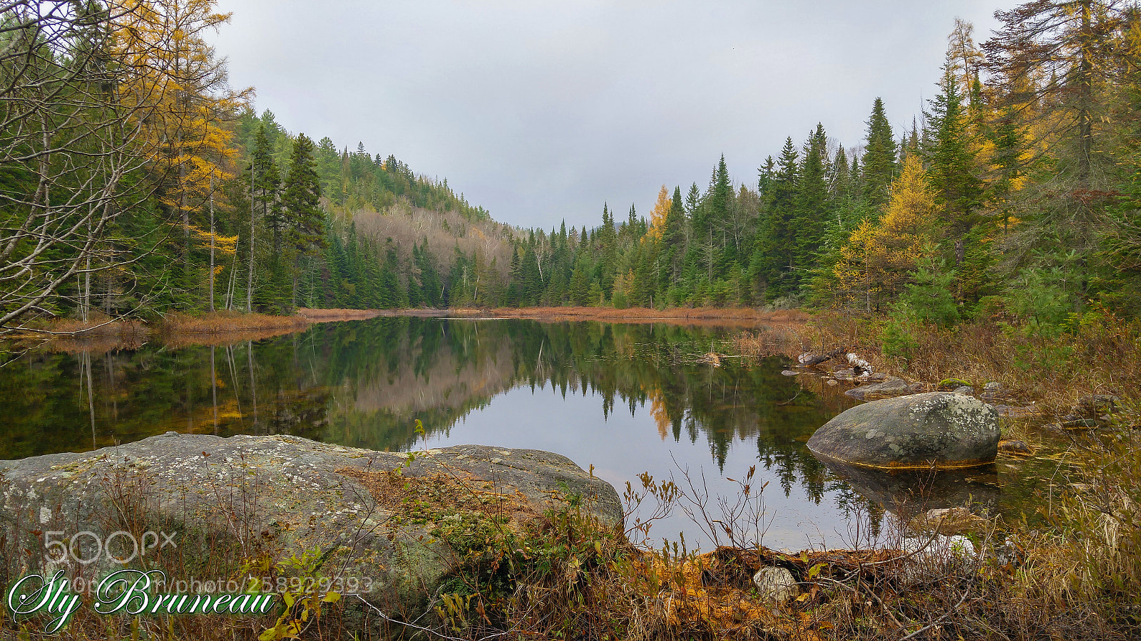LG G4 sample photo. Petit lac bernard, ste photography