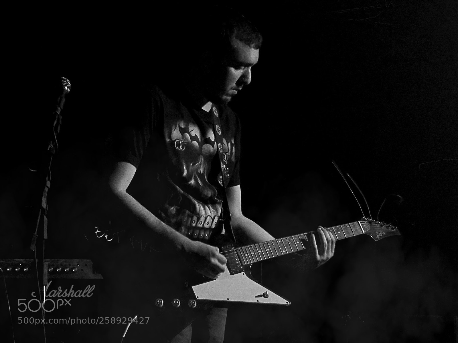 Canon PowerShot SX530 HS sample photo. Concert 1 photography