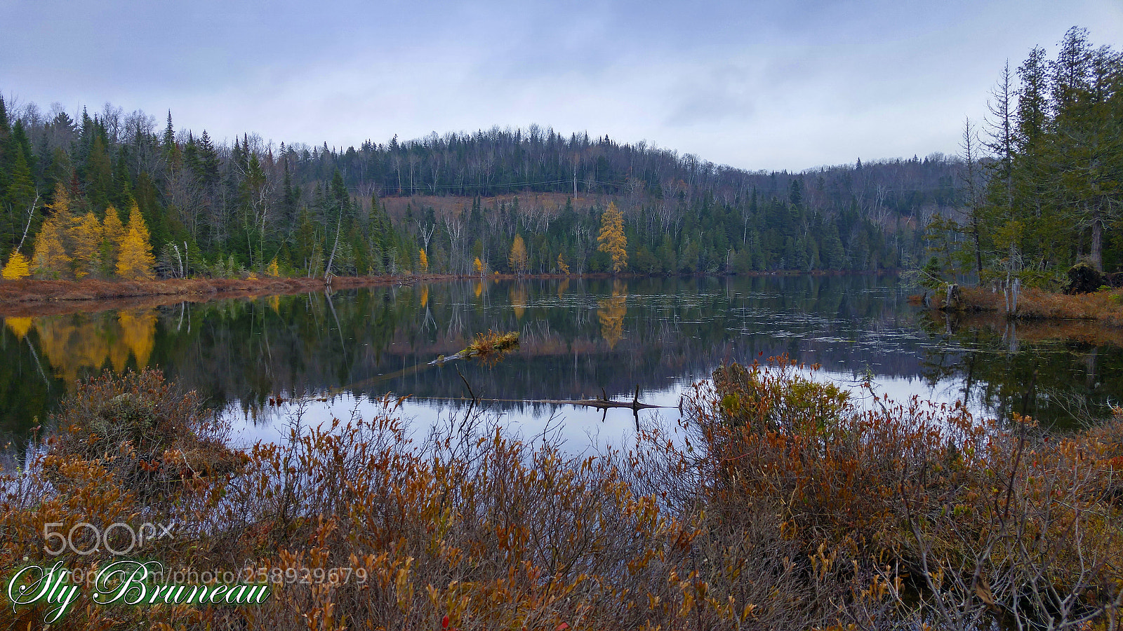 LG G4 sample photo. Lac th ophile, ste photography